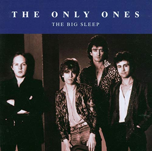 ONLY ONES - BIG SLEEP (CD)