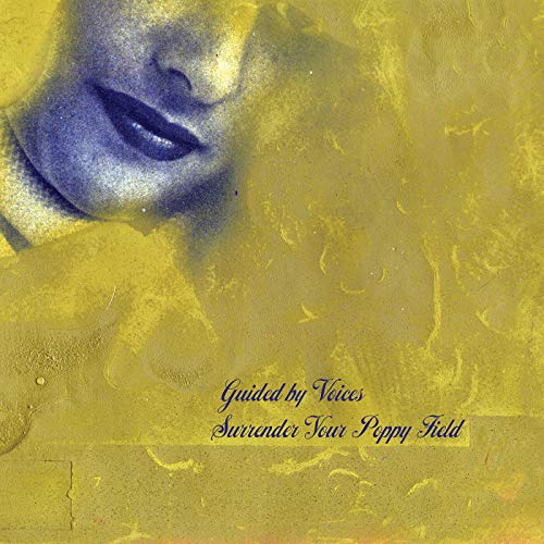 GUIDED BY VOICES - SURRENDER YOUR POPPY FIELD (CD)