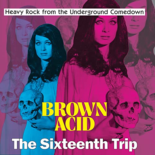 VARIOUS ARTISTS - BROWN ACID - THE SIXTEENTH TRIP (VARIOUS ARTISTS) (VINYL)