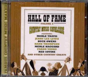 HALL OF FAME VOL.6 (CD)