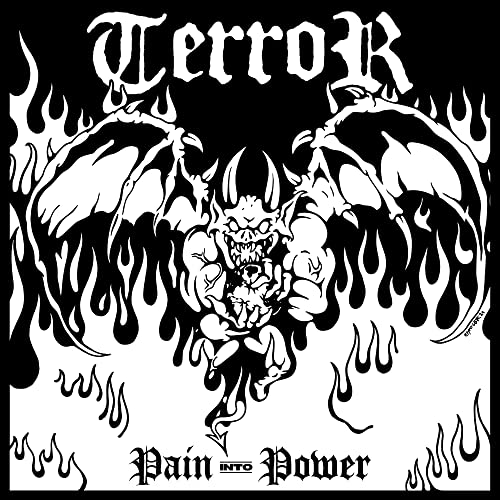 TERROR - PAIN INTO POWER (VINYL)