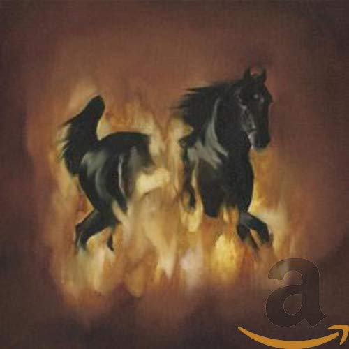 THE BESNARD LAKES - THE BESNARD LAKES ARE THE DARK HORSE (CD)