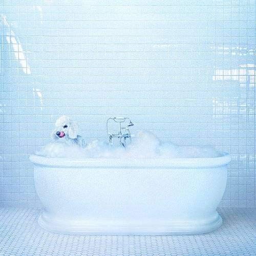 FRANKIE COSMOS - VESSEL (LOSER EDITION) (VINYL)