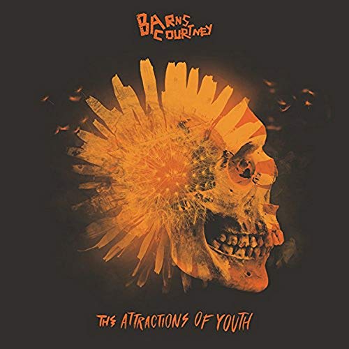 COURTNEY, BARNS - ATTRACTIONS OF YOUTH (VINYL)