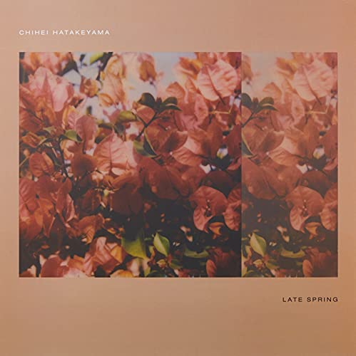 CHIHEI HATAKEYAMA - LATE SPRING (VINYL)