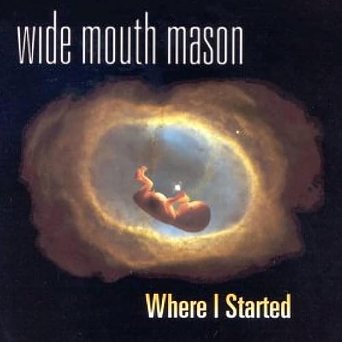 WIDE MOUTH MASON - WHERE I STARTED (VINYL)