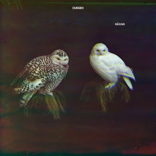 DUNGEN - HAXAN (LIMITED EDITION) (CD)