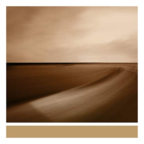 ENO, BRIAN - SMALL CRAFT ON A MILK SEA (2LP VINYL)