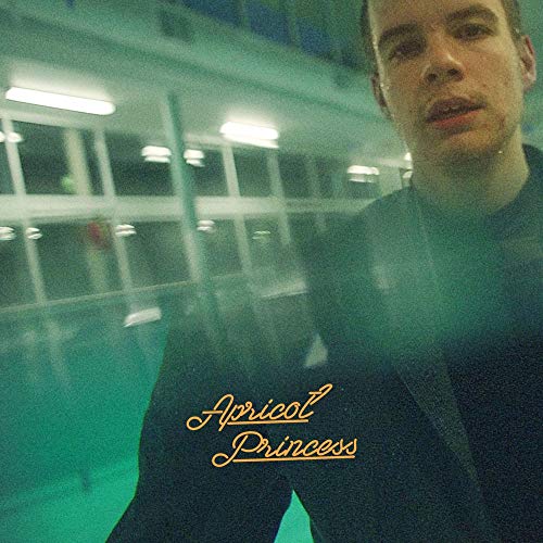 REX ORANGE COUNTY - APRICOT PRINCESS (VINYL)