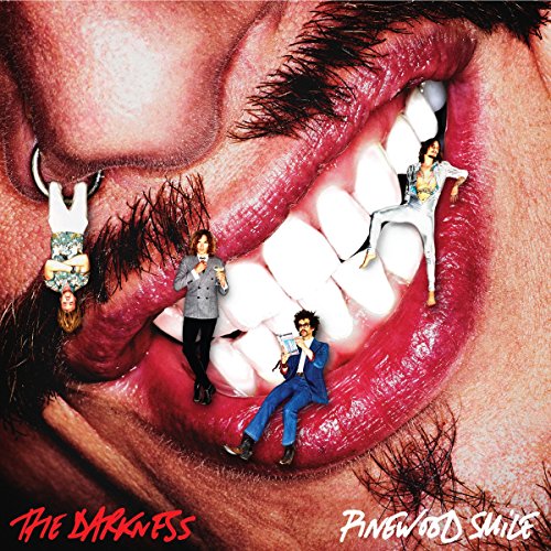 THE DARKNESS - PINEWOOD SMILE (VINYL)