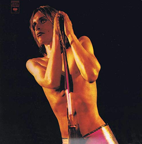 POP, IGGY & THE STOOGES - RAW POWER (DELUXE EDITION) (CD)