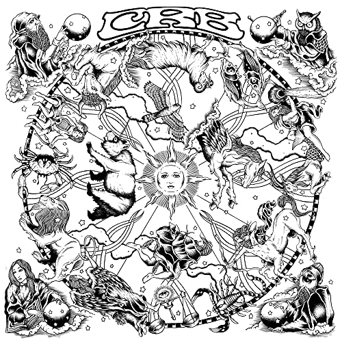 CHRIS ROBINSON BROTHERHOOD - THE MAGIC DOOR (CD)