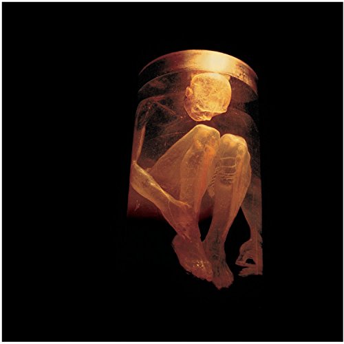 ALICE IN CHAINS - NOTHING SAFE BEST OF THE BOX