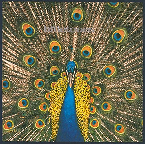 BLUETONES - EXPECTING TO FLY