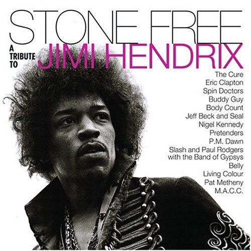 VARIOUS ARTISTS (COLLECTIONS) - STONE FREE - A TRIBUTE TO JIMI HENDRIX