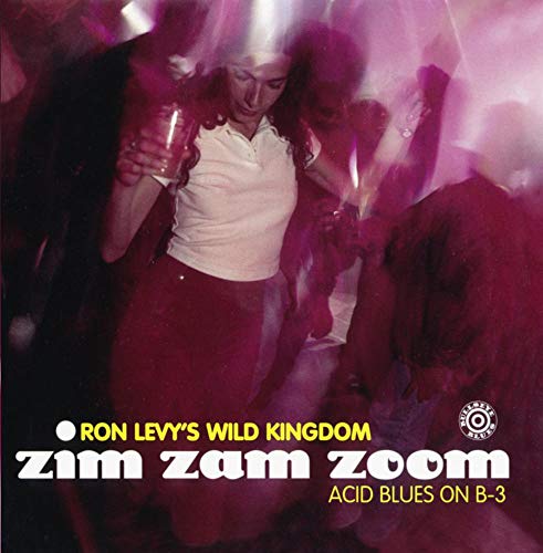 LEVY, RON - ZIM ZAM ZOOM: ACID BLUES ON B-3