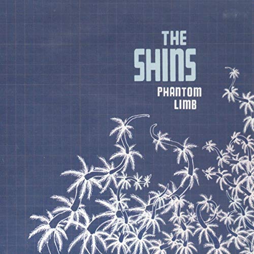 SHINS - PHANTOM LIMB