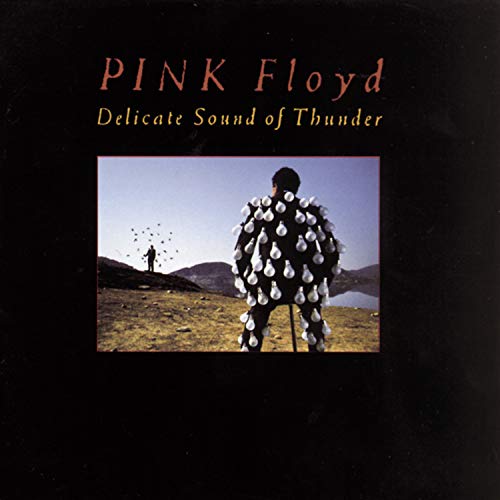 PINK FLOYD - DELICATE SOUND OF THUNDER