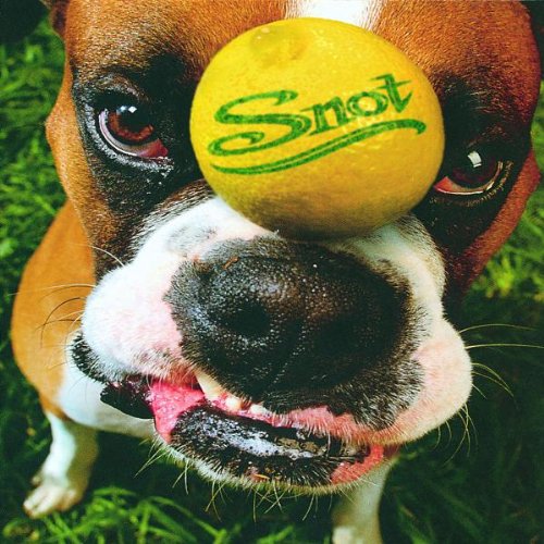 SNOT - GET SOME