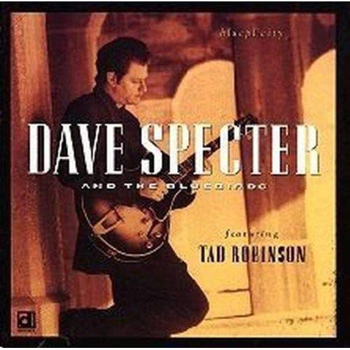 DAVE SPECTER - BLUEPLICITY