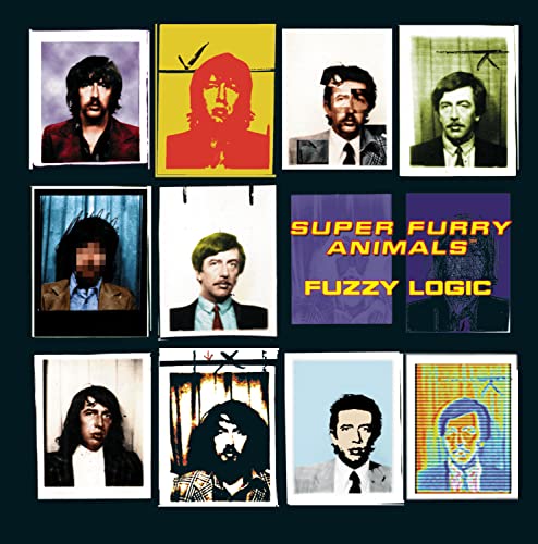 SUPER FURRY ANIMALS - FUZZY LOGIC