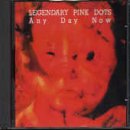 LEGENDARY PINK DOTS  - ANY DAY NOW