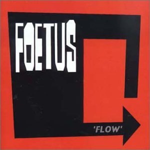 FOETUS  - FLOW