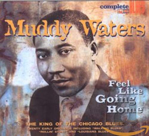 WATERS,MUDDY - FEEL LIKE GOING HOME