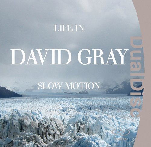GRAY, DAVID - LIFE IN SLOW MOTION
