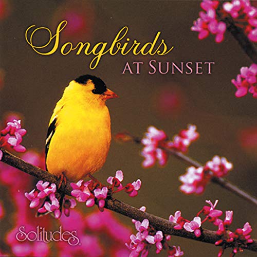 GIBSON, DAN  - SOLITUDES: SONGBIRDS AT SUNSET