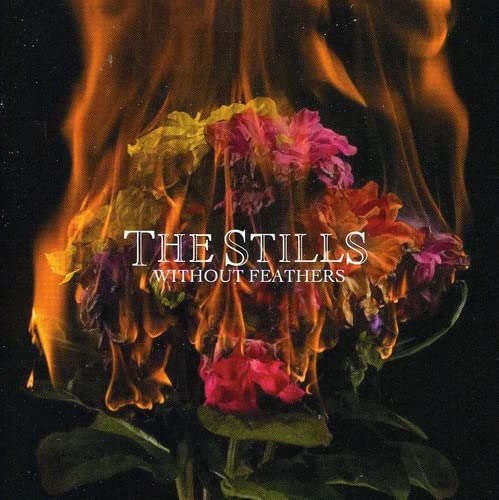 THE STILLS - WITHOUT FEATHERS