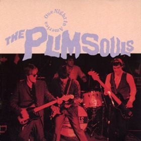 PLIMSOULS  - ONE NIGHT IN AMERICA