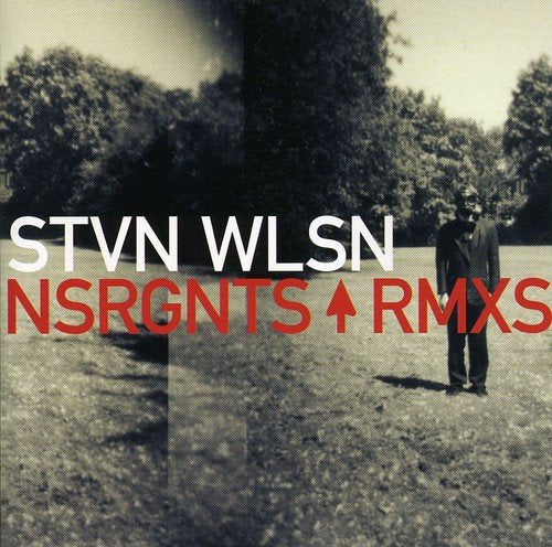 WILSON, STEVEN - NSRGNTS RMX