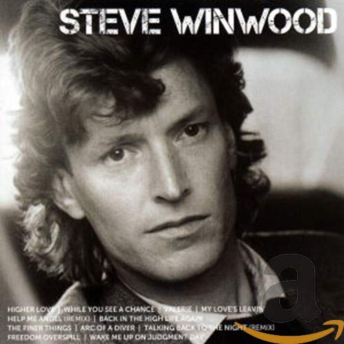 STEVE WINWOOD - ICON: STEVE WINWOOD