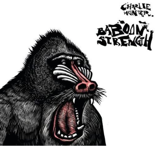 HUNTER, CHARLIE - BABOON STRENGTH