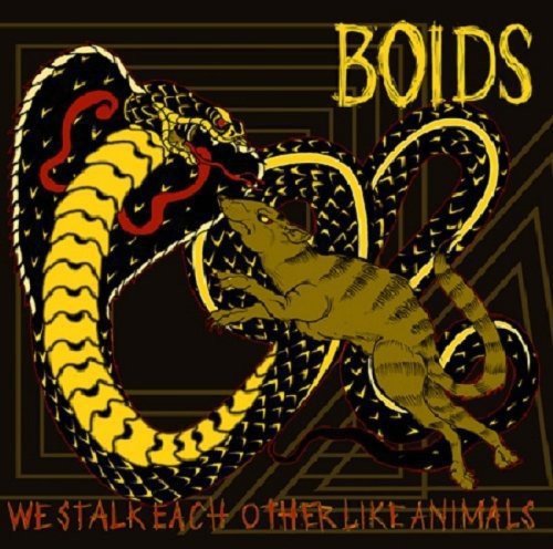 BOIDS - WE STALK EACH OTHER LIKE ANIMALS