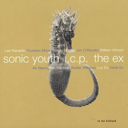 SONIC YOUTH/I.C.P./EX  - IN THE FISHTANK