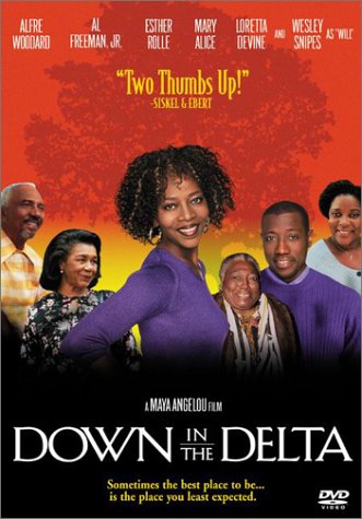 DOWN IN THE DELTA  - DVD