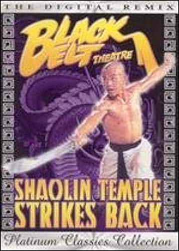 SHAOLIN TEMPLE STRIKES BACK