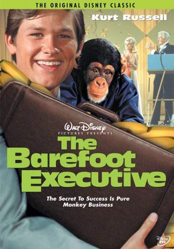 THE BAREFOOT EXECUTIVE