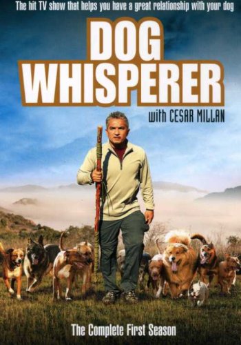 DOG WHISPERER S1 COMP [IMPORT]