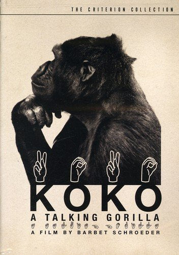 KOKO: A TALKING GORILLA (CRITERION COLLECTION)