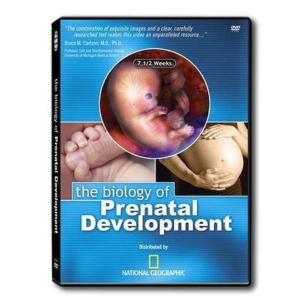 NATIONAL GEOGRAPHIC BIOLOGY OF PRENATAL DEVELOPMENT DVD