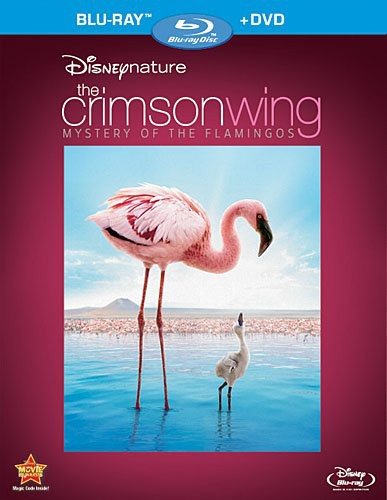 DISNEYNATURE: THE CRIMSON WING - THE MYSTERY OF THE FLAMINGO [BLU-RAY + DVD] (BILINGUAL)
