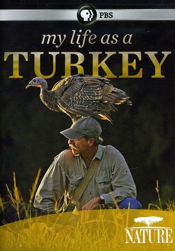MY LIFE AS A TURKEY^NATURE: MY LIFE AS A TURKEY^NATURE: MY LIFE AS A TURKEY^NATURE: MY LIFE AS A TURKEY
