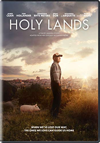 HOLY LANDS  - DVD