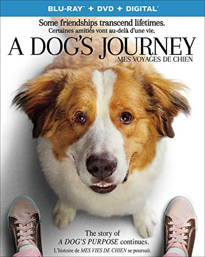 A DOG'S JOURNEY  - BLU-INC. DVD COPY