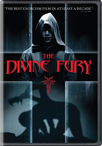 THE DIVINE FURY