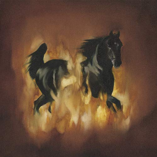 BESNARD LAKES - THE BESNARD LAKES ARE A DARK HORSE [VINYL]