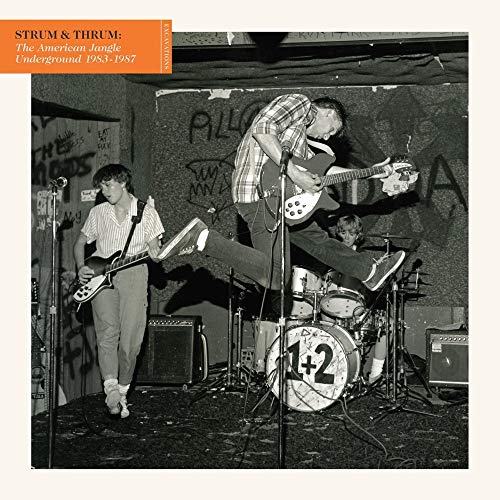 VARIOUS - STRUM & THRUM: THE AMERICAN JANGLE UNDERGROUND 1983-1987 / VARIOUS (VINYL)